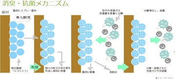 安全性のメカニズム